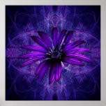 Purple Daisy Passion flower Poster