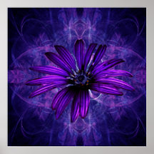Purple Daisy Passion flower Poster
