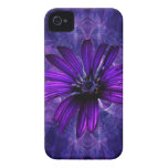 Purple Daisy Passion iPhone 4 Cover