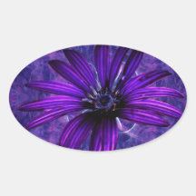 Purple Daisy Passion Oval Stickers