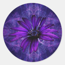 Purple Daisy Passion Sticker