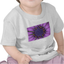 Purple Daisy Picture Shirts