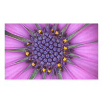 Purple Daisy Picture Rectangular Stickers