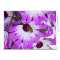 PURPLE DAISY SPRING HARMONY GREETING CARDS
