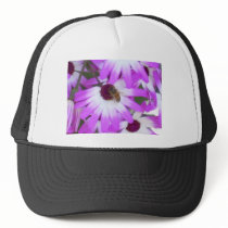 PURPLE DAISY SPRING HARMONY HATS