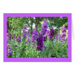 Purple Delphinium Cards