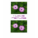 Purple Devine t-shirts