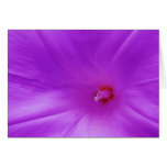 Purple Dreaming Greeting Cards