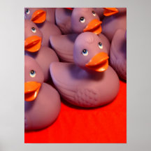 Purple Ducks Posters