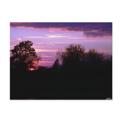 Purple Dusk Postcard by hopefulone