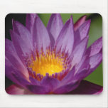 Purple Explosion Mouse Mats