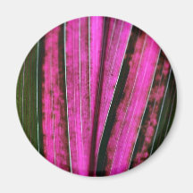 Purple flax magnet