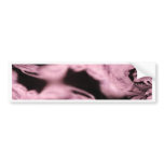 Purple Fleece Fractal bumper stickers