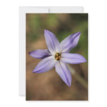 Purple Flora Invitations