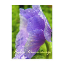 Purple Flower Anniversary Post Card
