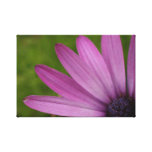 Purple flower blossom petals macro photograph canvas prints