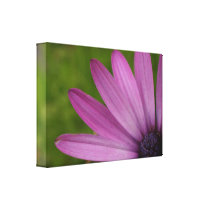 Purple flower blossom petals macro photograph stretched canvas prints