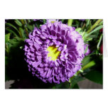 Purple Flower cards