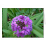 Purple Flower - Card
