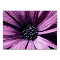 Purple Flower Card