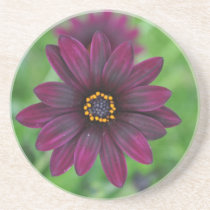 Purple Flower Beverage Coasters