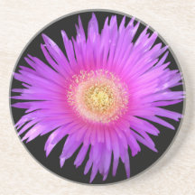 purple flower drink coasters