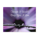Purple Flower Drops Postcard
