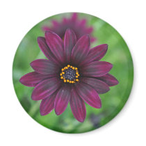 Purple Flower Fridge Magnets