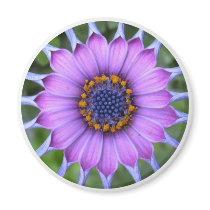 purple flower kühlschrankmagnete