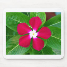 Purple Flower Mouse Pads