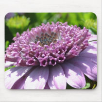 Purple Flower