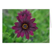 Purple Flower Note Card