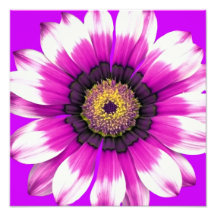 Purple Flower Photo