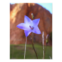 Purple flower photo print