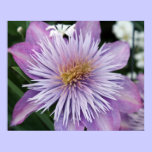 Purple Flower posters