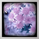 Purple flower print