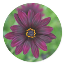 Purple Flower Round Sticker