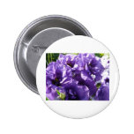 purple flowers 2 pinback button
