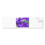 Purple Flowers bumper stickers