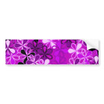 Purple Flowers