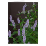 purple flowers greeting card