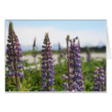 purple flowers cards