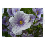 Purple Flowers card
