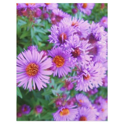 Purple Flowers Flyer by Bro_Jones