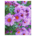 Purple Flowers flyers