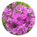 Purple Flowers from San Francisco Sticker