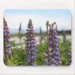purple flowers mousepads