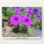 Purple Flowers mousepads