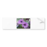 Purple Flowers Picture! bumper stickers