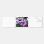 Purple Flowers Picture! Bumper Stickers